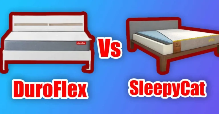DuroFlex Vs SleepyCat Mattress Comparison 2023